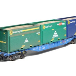 TT - Container wagon Sgns...