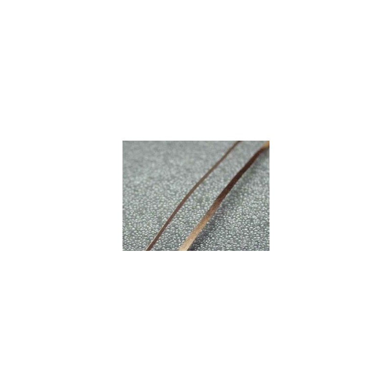 Fosforbronzový sběrací pásek 0.05mm x 1mm x 100mm