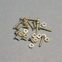 Galvanized steels screws